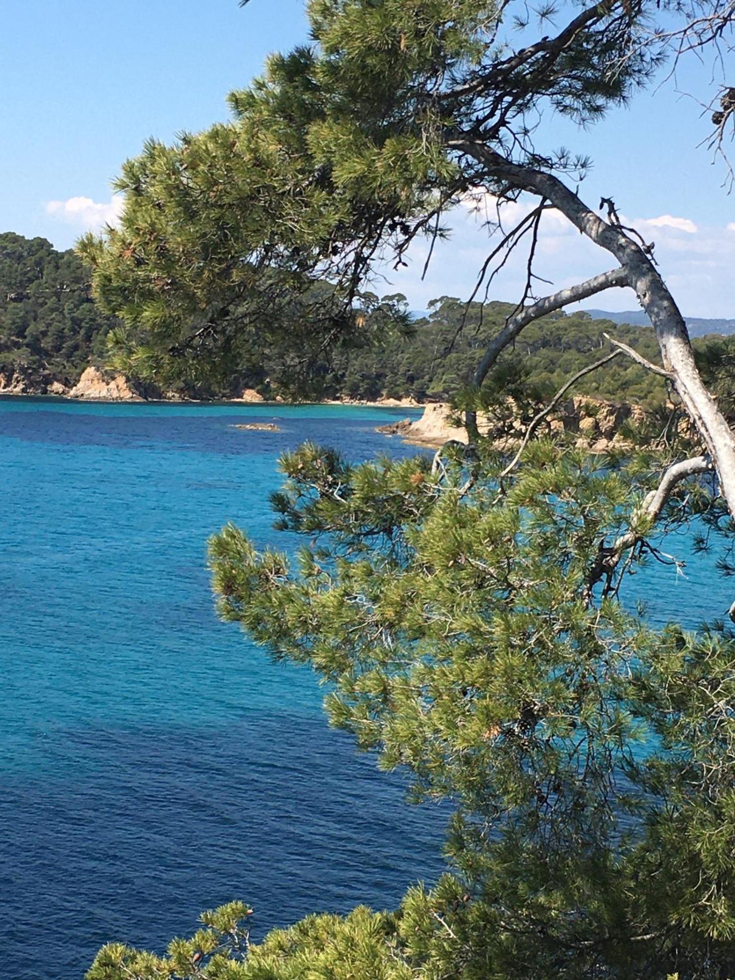 Appartement T3 Lumineux Traversant Totalement Neuf En Face De La Plage Front De Mer Vue Sur Les Iles Vue Mer Panoramique Assuree Residence De La Plage Centre Ville Du Lavandou 3Eme Etage Avec Ascenseur Appartement T3 Ле-Лаванду Экстерьер фото